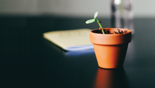 © Photo by The Lucky Neko on Unsplash © Photo by The Lucky Neko on Unsplash
