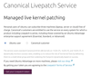 Figure 1: Canonical's Livepatch Service requires you to log in.