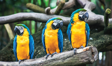 © Photo by Sid Balachandran on Unsplash © Photo by Sid Balachandran on Unsplash