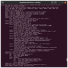 Figure 1: Terminal output of the lspci -vv command.