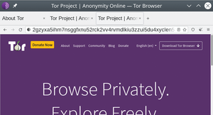 Figure 1: The Tor Browser is one of the simplest and most effective ways to preserve your online privacy.
