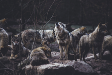 © Photo by Thomas Bonometti on Unsplash © Photo by Thomas Bonometti on Unsplash
