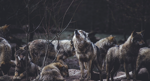 © Photo by Thomas Bonometti on Unsplash