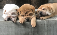 © Photo by Nicole Romero on Unsplash © Photo by Nicole Romero on Unsplash