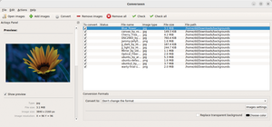 Figure 1: The main window lists all the files you can edit. If you click on an entry, you will see a preview of the image on the left along with more detailed information about the file.