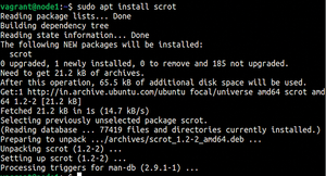 Figure 1: Installing scrot on Ubuntu.