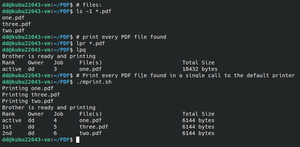 Figure 1: Print jobs with multiple files can be started in one go (above) or scripted in slices (below).