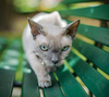 © Photo by Harry Cunningham on Unsplash