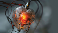 © Lead Image © iftikharalam, 123RF.com