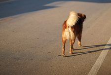 © Lead Image © oporty, 123RF.com