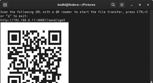 Figure 1: The QR code is essentially just the URL wrapped up as a QR code.